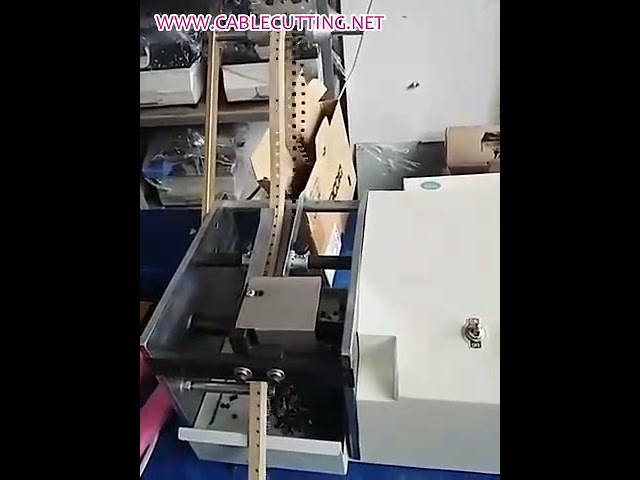 Capacitor Lead Cutting and Bending Machine | Automated Wire Processing