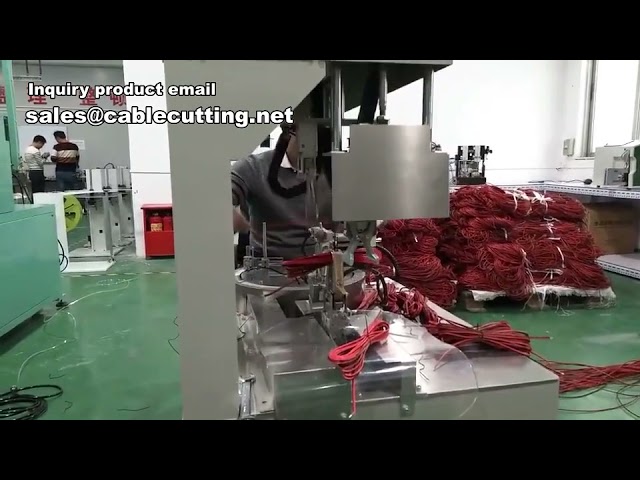 Cable Winding, Bundling, and Tying Machine 2 | Automated Wire Processing