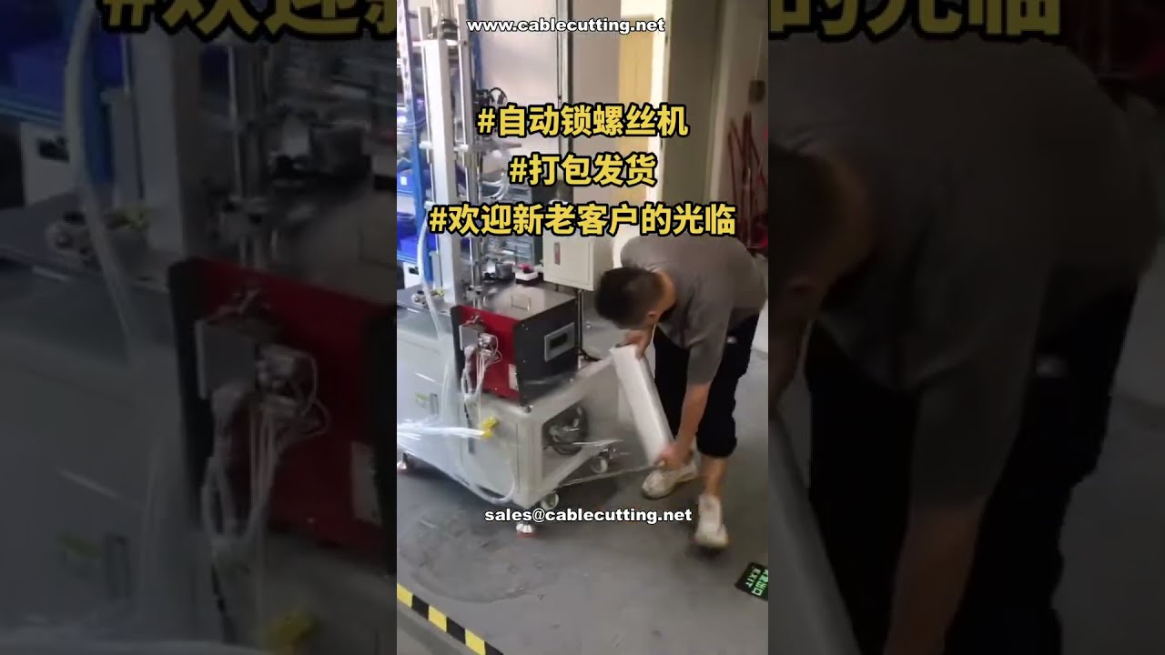 Automatic Screw Fastening Machine with Final Testing and Packing