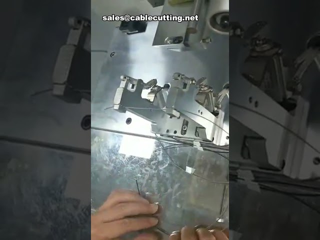 Position Wire Cable Half-Folding Sticker Machine for Car Motor Labeling and Plastic Tube Making