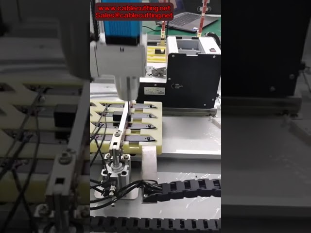 Double-Station Servo Screw Tightening Robot with Auto Feeding System